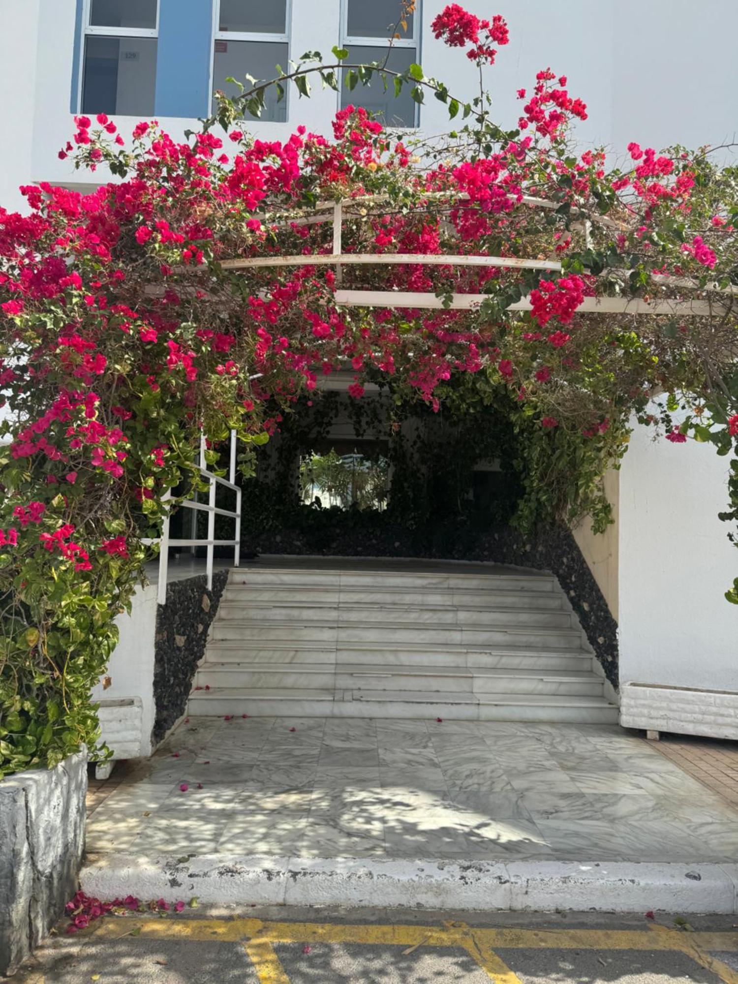 Island Paradise At Green Park San Miguel de Abona Exterior foto